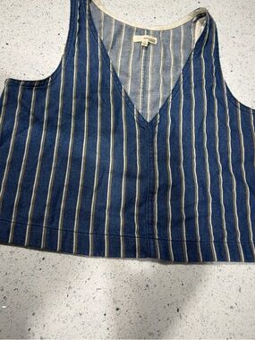 Wilfred Striped V-Neck Sleeveless Crop Top - Blue & Cream